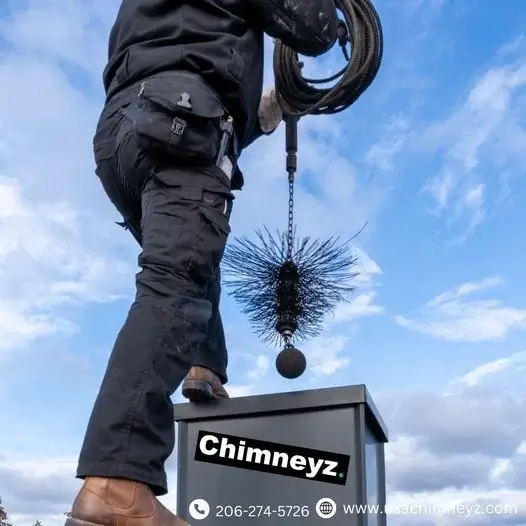 The Benefits of Professional Chimney Sweep Services in Renton, WA