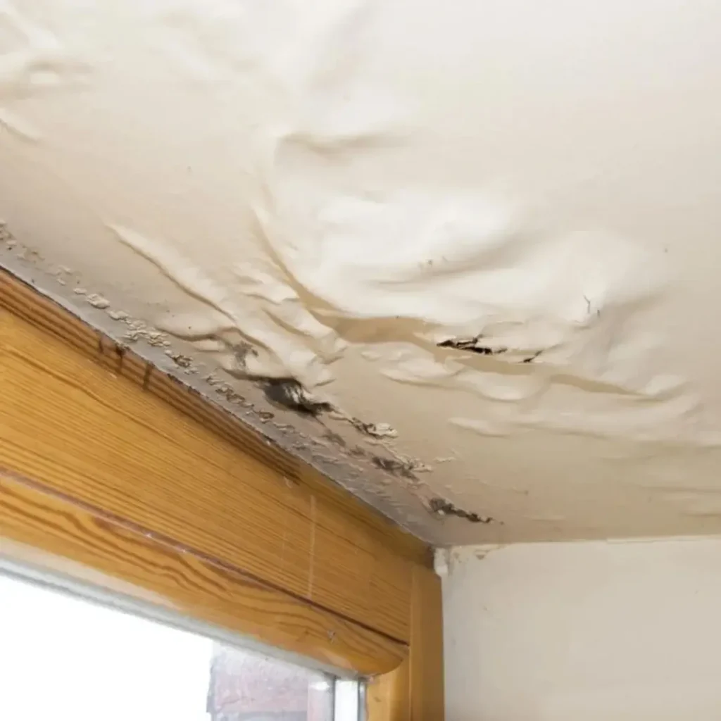 Water Damage Repair services